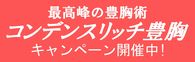 コンデンスリッチ豊胸キャンペーン