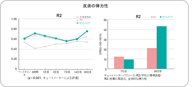 皮膚の若返り2